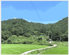  2025Ÿ��5298 ���� ���ﱺ �嵿�� ���縮 ��59-7      ����(�Ӿ�)���