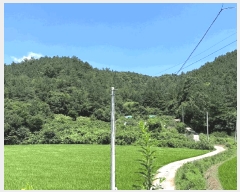  2025Ÿ��5298 ���� ���ﱺ �嵿�� ���縮 ��59-7      ����(�Ӿ�)���