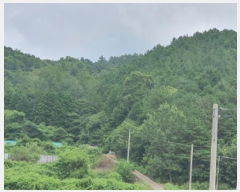  2025Ÿ��5298 ���� ���ﱺ �嵿�� ���縮 ��59-7      ����(�Ӿ�)���