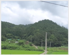  2025Ÿ��5298 ���� ���ﱺ �嵿�� ���縮 ��59-7      ����(�Ӿ�)���