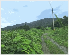  2025Ÿ��5301 ���� ������ ������ ������ 747      ����(��)���