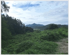  2025Ÿ��5301 ���� ������ ������ ������ 747      ����(��)���