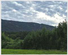  2025Ÿ��5301 ���� ������ ������ ������ 747      ����(��)���