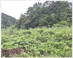  2025Ÿ��5301 ���� ������ ������ ������ 747      ����(��)���