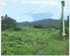  2025Ÿ��5301 ���� ������ ������ ������ 747      ����(��)���