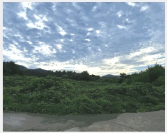  2025Ÿ��5301 ���� ������ ������ ������ 747      ����(��)���