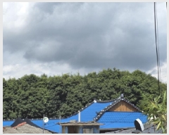  2025Ÿ��5308 ���� ������ ĥ���� ��Ȳ�� 239-30      ����(��1)���