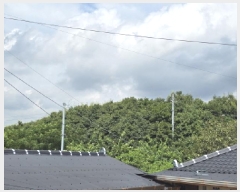  2025Ÿ��5308 ���� ������ ĥ���� ��Ȳ�� 239-30      ����(��1)���