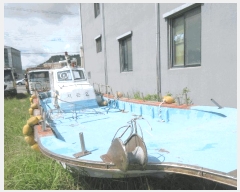  2025Ÿ5310           ڰ