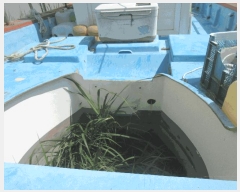  2025Ÿ5310           ڰ