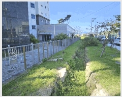  2025Ÿ��5319 ���� ������ ������ ȣ�踮 895-6      ����(��)���