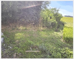  2025Ÿ��5319 ���� ������ ������ ȣ�踮 1203-3      ����(��)���