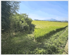  2025Ÿ��5319 ���� ������ ������ ȣ�踮 1203-3      ����(��)���