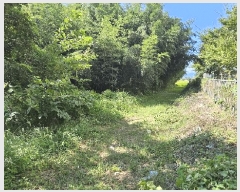  2025Ÿ��5319 ���� ������ ������ ȣ�踮 1203-3      ����(��)���