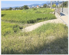  2025Ÿ��5319 ���� ������ ������ ȣ�踮 1203-3      ����(��)���