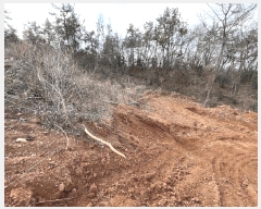  2025Ÿ��31  �Ӿ߰��