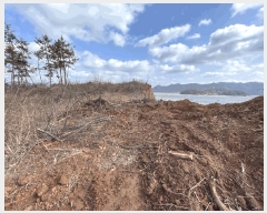  2025Ÿ��31  �Ӿ߰��