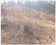  2025Ÿ��31  �Ӿ߰��