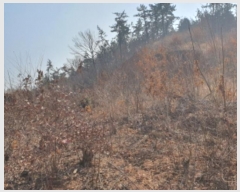  2025Ÿ��31  �Ӿ߰��