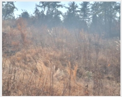  2025Ÿ��31  �Ӿ߰��