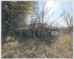  2025Ÿ62  ﱺ   391      ()