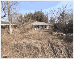  2025Ÿ62  ﱺ   391      ()