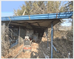  2025Ÿ62  ﱺ   391      ()