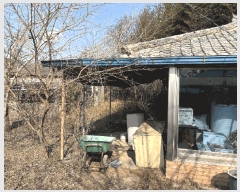  2025Ÿ62  ﱺ   391      ()