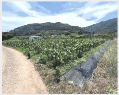  2025Ÿ��88 ���� ������ ������ ������ 925      ����(��1)���