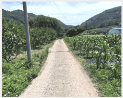  2025Ÿ��88 ���� ������ ������ ������ 925      ����(��1)���