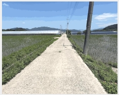  2025Ÿ��88 ���� ������ ������ ������ 925      ����(��1)���