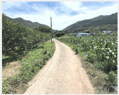  2025Ÿ��88 ���� ������ ������ ������ 925      ����(��1)���