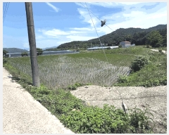  2025Ÿ��88 ���� ������ ������ ������ 925      ����(��1)���