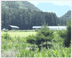  2025Ÿ��88 ���� ������ ������ ������ 925      ����(��1)���