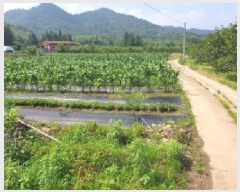  2025Ÿ��88 ���� ������ ������ ������ 925      ����(��1)���