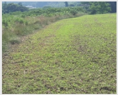  2025Ÿ��88 ���� ������ ������ ������ 925      ����(��1)���