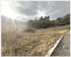  2025Ÿ��99 ���� ���ﱺ ȸ���� �Ż� 75      ����(��1)���