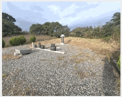  2025Ÿ��99 ���� ���ﱺ ȸ���� �Ż� 75      ����(��1)���