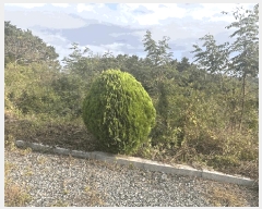  2025Ÿ��99 ���� ���ﱺ ȸ���� �Ż� 75      ����(��1)���