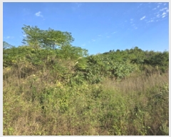  2025Ÿ��99 ���� ���ﱺ ȸ���� �Ż� 75      ����(��1)���