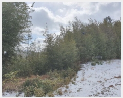  2025Ÿ5128   ĥ ܿ 210-6      (1)