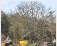  2025Ÿ5128   ĥ ܿ 210-6      (1)