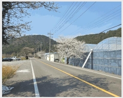  2025Ÿ��5225 ���� ���ﱺ ������ ���۸� 31-6      ����,â�����