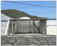  2025Ÿ��5225 ���� ���ﱺ ������ ���۸� 31-6      ����,â�����