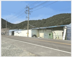  2025Ÿ��5225 ���� ���ﱺ ������ ���۸� 31-6      ����,â�����