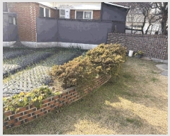  2025Ÿ��5230 ���� ������ ������ ������ 58-24      ���ð��