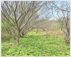  2025Ÿ��5234 ���� ���ﱺ �嵿�� �ϱ��� 483      ����(��)���