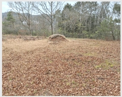  2025Ÿ��5234 ���� ���ﱺ �嵿�� �ϱ��� 483      ����(��)���