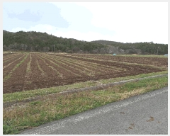  2025Ÿ��5234 ���� ���ﱺ �嵿�� �ϱ��� 483      ����(��)���