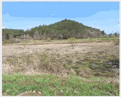  2025Ÿ��5234 ���� ���ﱺ �嵿�� �ϱ��� 483      ����(��)���